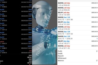 offer profitable forex ea robot, forex trading bot, forex trading robot, ea bot