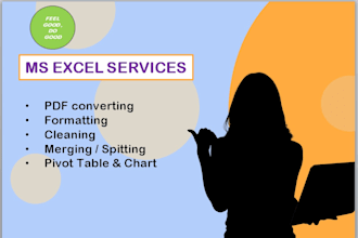 do PDF convert to xcl, clean, format, split, merge, pivot table, chart in excel