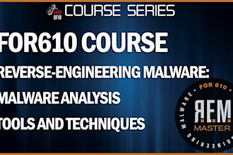 build a professional malware analysis and reverse engineering with reports