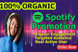 do spotify album promotion, spotify music track promotion, spotify marketing