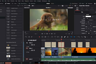 professionally edit your movie trailer and videos
