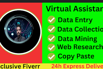 do data entry ,web scraping, convert pdf to word, ms, excel data entry