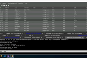teach you penetration testing and red teaming
