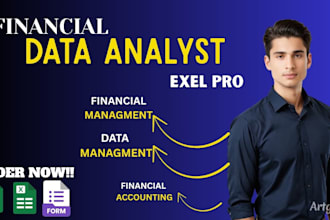 be your data analyst and will do financial management and accounting