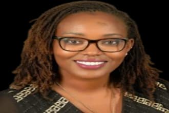 do history, global study, international relation and political science research