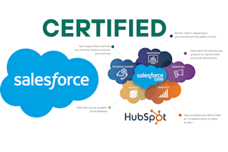 be your certified salesforce CRM developer, consultant, and administrator