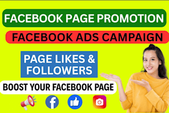 do facebook page promotion and ads campaign