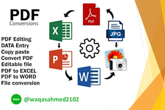convert PDF to excel or retype scanned documents accurately
