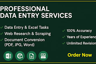 do excel data entry, copy paste, data scraping, web research, page typing