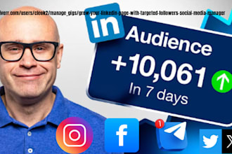 linkedin marketing manager to targeted followers, content creator, ghostwriter