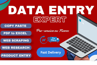 do excel data entry, copy and paste, convert PDF, web research, typing,