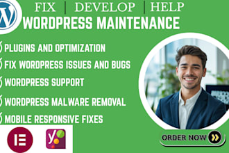 fix wordpress errors remove malware bug fixes wordpress help website maintenance