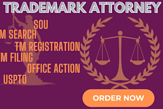 file your trademark application as your US licensed attorney