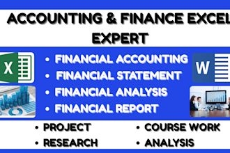 do accounting, finance assignment, financial statement analysis and excel report