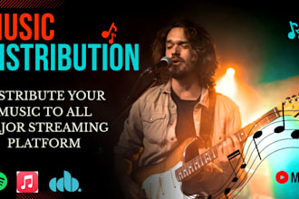 distribute your music press release to 100s of genre digital streaming platform