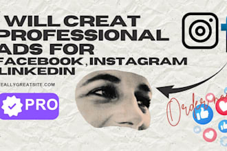 create and manage facebook ads nstagram ads and linkedin ads