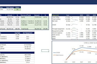 develop custom financial models and strategic business plans