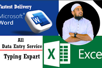 provide fastest excel word typing all data entry copy paste web research