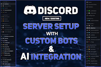 create a professional discord server setup with a professional discord bot