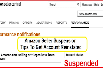 reopen amazon flex suspension wit appeal letter plan of action account reinstate
