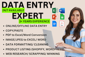 be your data entry expert for copy paste, web search, PDF, jpeg, word to excel
