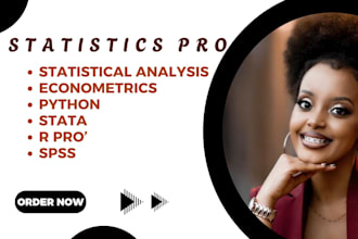 do econometrics, statistical data analysis with r, spss, stata, python, excel