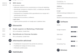 creamos tu hoja de vida curriculum vitae