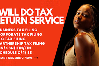 efile income tax return, llc tax, individual tax, 1120, 1065, 1040,5472 as a CPA