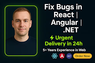 fix bugs in your react angular and dotnet core web application 24h urgent fix