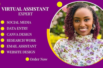 be your social media virtual assistant executive virtual assistant admin support