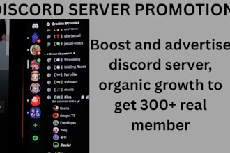 boost, advertise, grow and promote your discord server to get real members
