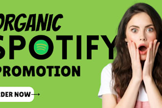 promote your music across spotify, apple music, and more