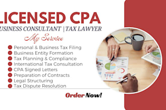 be US CPA, tax advisor, attorney, business lawyer, tax consultant and accountant