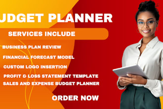 send a business plan template with financial forecast and profit budget