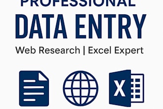 do accurate data entry, excel reports, and file conversion