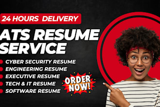 write 24 hrs executive tech cyber security resume  software engineering resume