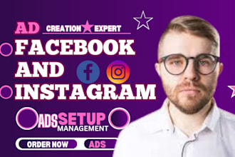 set up facebook and instagram ads campaign for your business
