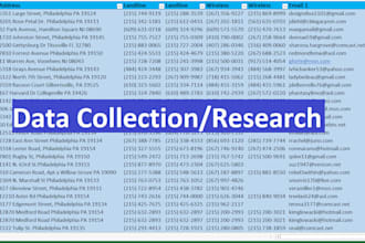 do excel data entry, copy paste, convert PDF, web research, typing, data entry