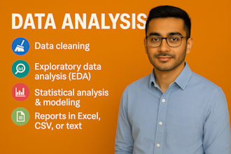 perform data analysis using python or excel