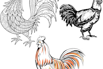 do black and white vector drawing