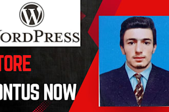 develop a responsive wordpress website for your business