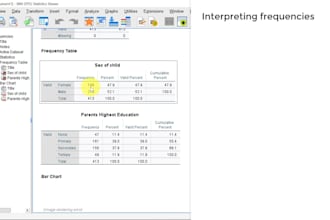 do econometrics, statistical data analysis, interpretation using spss and stata