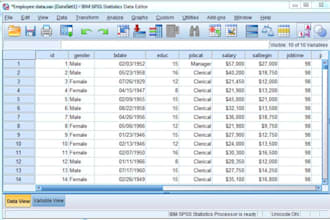 do statistical analysis on spss