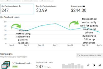 run targeted facebook ads to boost sales and leads