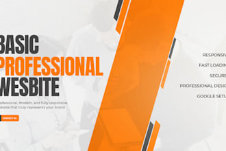 create a basic professional website