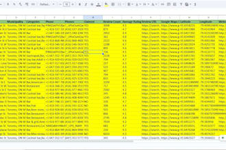 google map scraping, b2b data extraction, lead generation