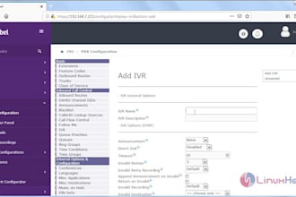 setup did number sip trunk phone system ipbx pbx extension