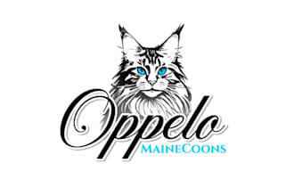 design original attractive cat logo with my creative thinking