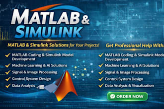 do your matlab, simulinks, image and signal processing