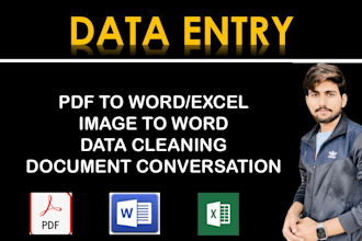 do data entry, file conversation and data scraping